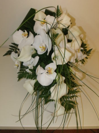 bouquet phalanopsis