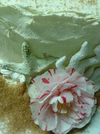 particola wedding cake