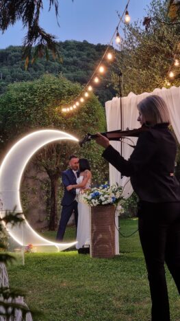 violino alla torta